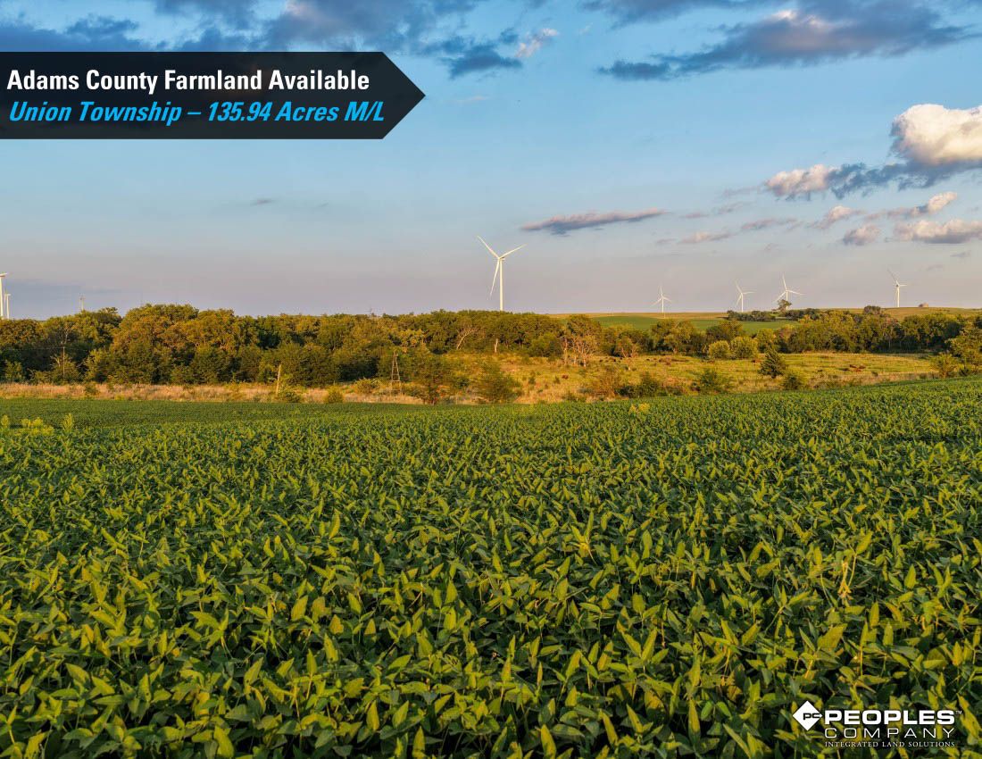 Listing Photo: Adams-County-Iowa-Farmland-Available-136-Acres-Blazek-Estate-19707 (26)